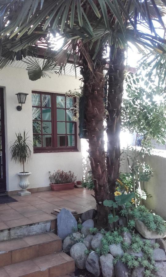 Bed & Breakfast Edelweiss